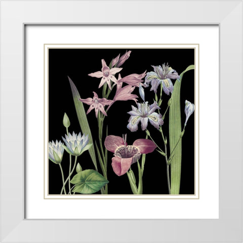 Dusty Plum Botanical II White Modern Wood Framed Art Print with Double Matting by Jill, Susan