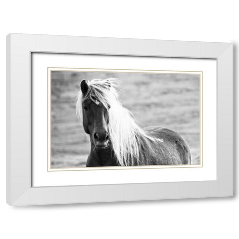 Islandic Horse White Modern Wood Framed Art Print with Double Matting by Loeken, Joan