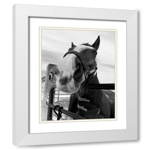 Argenteuil White Modern Wood Framed Art Print with Double Matting by Jill, Susan