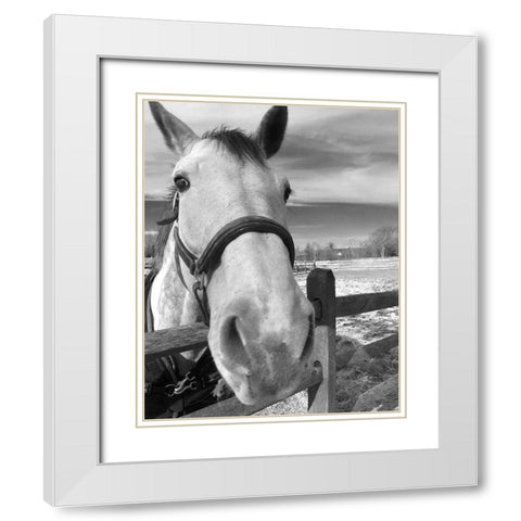 Caen White Modern Wood Framed Art Print with Double Matting by Jill, Susan