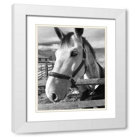 Dijon White Modern Wood Framed Art Print with Double Matting by Jill, Susan