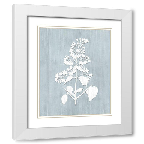 Botany Beauty IV White Modern Wood Framed Art Print with Double Matting by CAD Designs