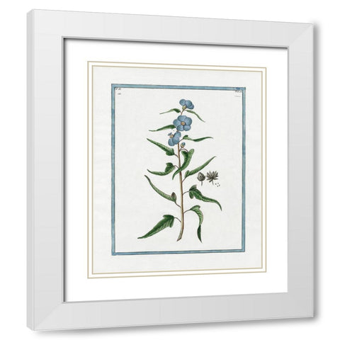 Shabby Chic Botanical I White Modern Wood Framed Art Print with Double Matting by Donovan, Kelly