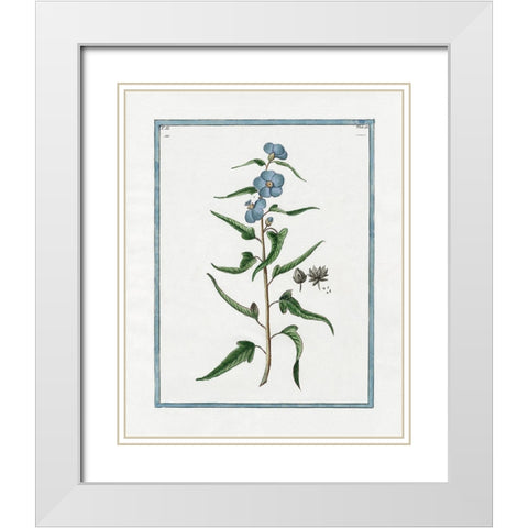 Shabby Chic Botanical I White Modern Wood Framed Art Print with Double Matting by Donovan, Kelly