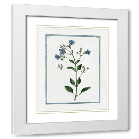 Shabby Chic Botanical II White Modern Wood Framed Art Print with Double Matting by Donovan, Kelly
