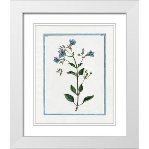 Shabby Chic Botanical II White Modern Wood Framed Art Print with Double Matting by Donovan, Kelly