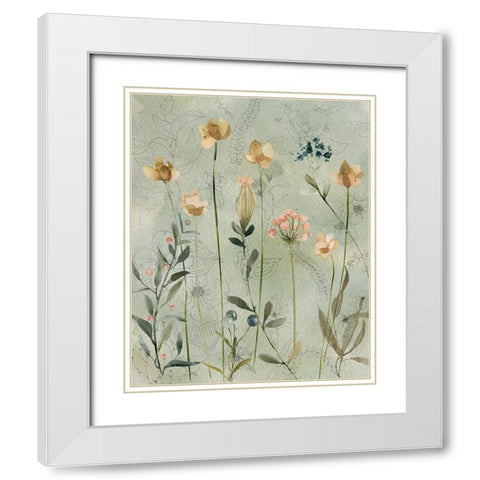 Botanical Sketchbook White Modern Wood Framed Art Print with Double Matting by Finn, Livi