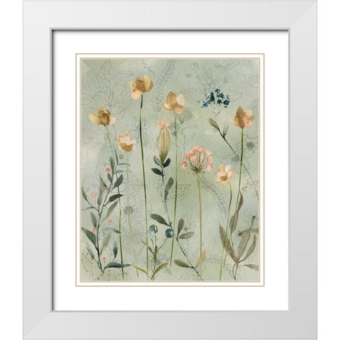 Botanical Sketchbook White Modern Wood Framed Art Print with Double Matting by Finn, Livi