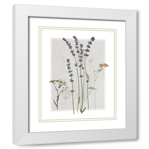 Field Study Page I White Modern Wood Framed Art Print with Double Matting by Robinson, Carol