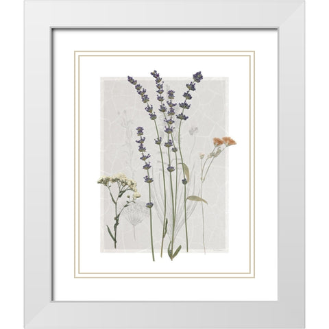 Field Study Page I White Modern Wood Framed Art Print with Double Matting by Robinson, Carol