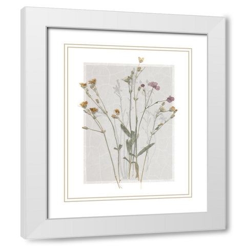 Field Study Page II White Modern Wood Framed Art Print with Double Matting by Robinson, Carol