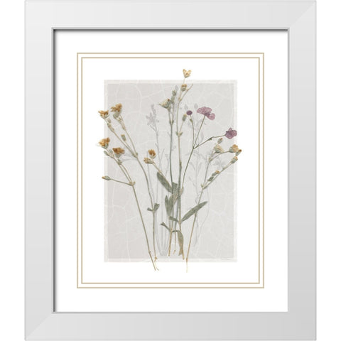 Field Study Page II White Modern Wood Framed Art Print with Double Matting by Robinson, Carol