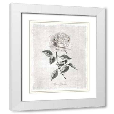Vintage Botanical I White Modern Wood Framed Art Print with Double Matting by Carpentieri, Natalie