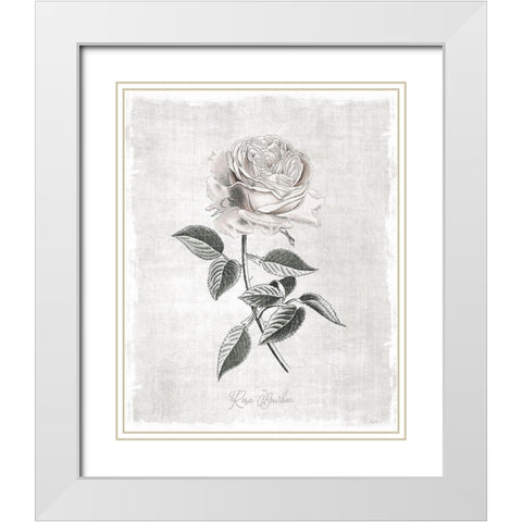 Vintage Botanical I White Modern Wood Framed Art Print with Double Matting by Carpentieri, Natalie