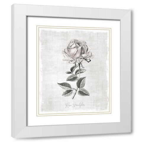 Vintage Botanical II White Modern Wood Framed Art Print with Double Matting by Carpentieri, Natalie