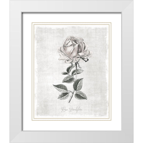 Vintage Botanical II White Modern Wood Framed Art Print with Double Matting by Carpentieri, Natalie
