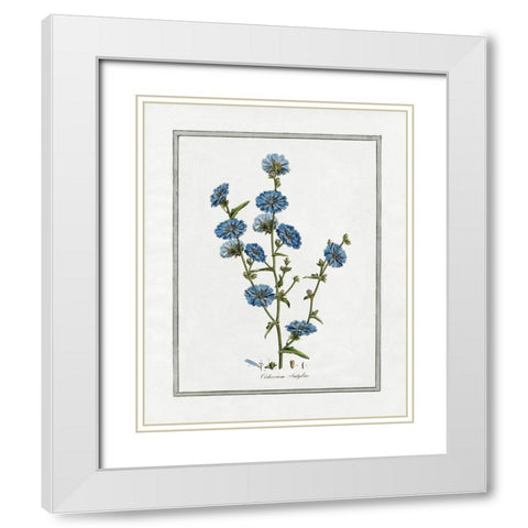 Soft Botanical I White Modern Wood Framed Art Print with Double Matting by CAD Designs