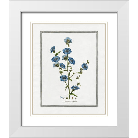 Soft Botanical I White Modern Wood Framed Art Print with Double Matting by CAD Designs