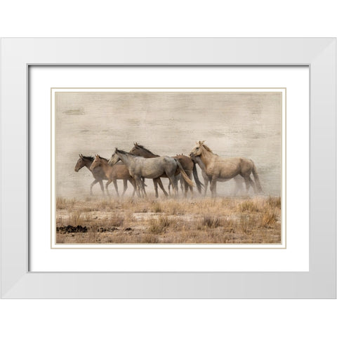 Roaming Free White Modern Wood Framed Art Print with Double Matting by Delimont, Danita