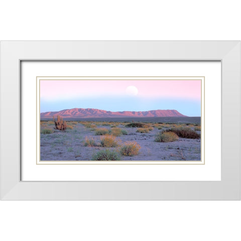 Vallenar Atacama Desert White Modern Wood Framed Art Print with Double Matting by Delimont, Danita