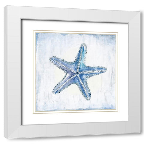 Blue Shell III White Modern Wood Framed Art Print with Double Matting by Tava Studios