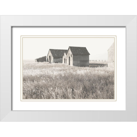 Neutral Barn White Modern Wood Framed Art Print with Double Matting by Robinson, Carol