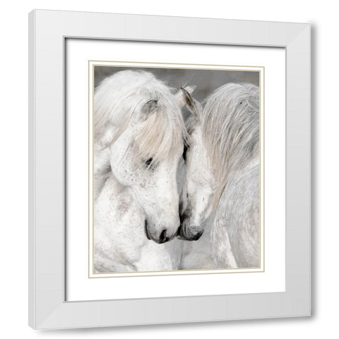 Affection II White Modern Wood Framed Art Print with Double Matting by Delimont, Danita