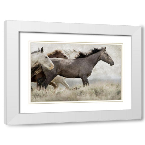 Thunder Ridge Distressed White Modern Wood Framed Art Print with Double Matting by Delimont, Danita