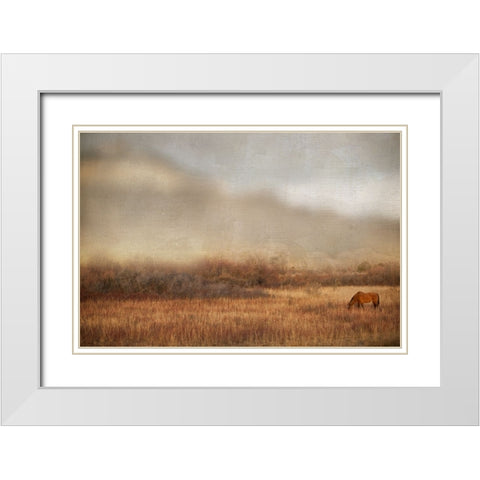 Grazing at Sunset White Modern Wood Framed Art Print with Double Matting by Delimont, Danita