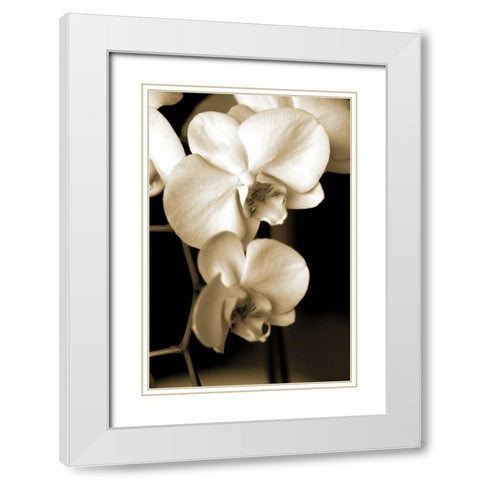 Exotic Blooms White Modern Wood Framed Art Print with Double Matting by Ryan, Cinzia