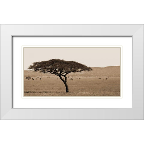 Serengeti Horizons I White Modern Wood Framed Art Print with Double Matting by Maihara/Watt, Jeff/Boyce