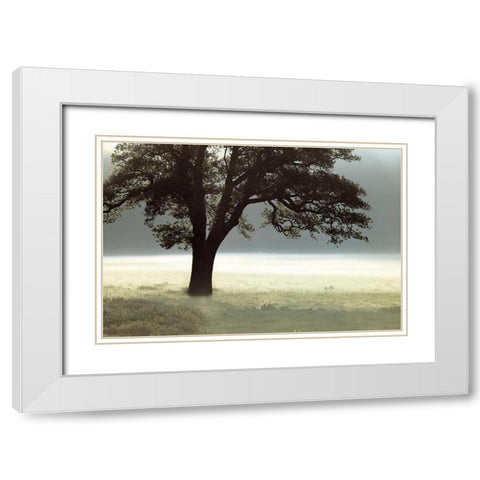 Enlighten Me White Modern Wood Framed Art Print with Double Matting by Frank, Assaf