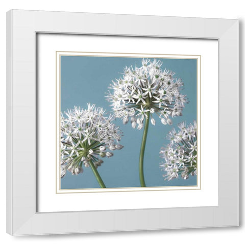 Bliss I White Modern Wood Framed Art Print with Double Matting by Frank, Assaf