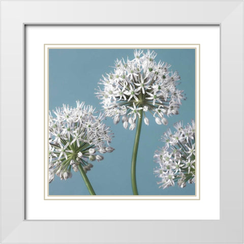 Bliss I White Modern Wood Framed Art Print with Double Matting by Frank, Assaf