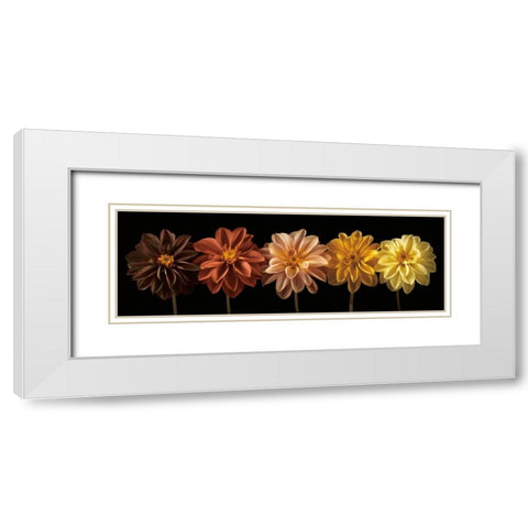 Floral Salute White Modern Wood Framed Art Print with Double Matting by Frank, Assaf