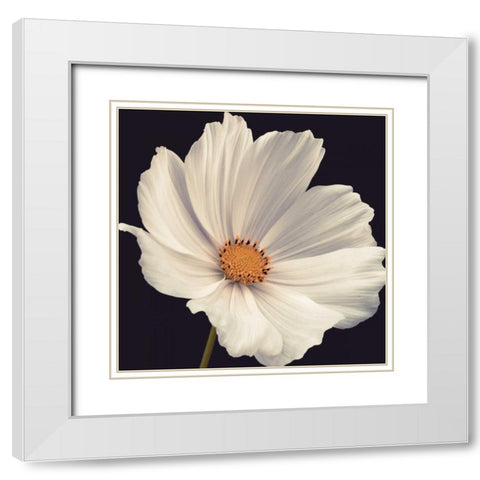 Cosmos I White Modern Wood Framed Art Print with Double Matting by Frank, Assaf