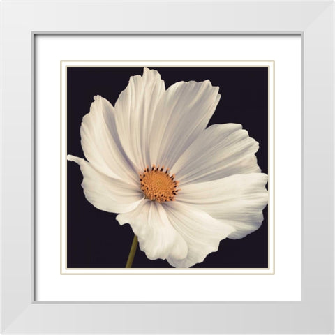 Cosmos I White Modern Wood Framed Art Print with Double Matting by Frank, Assaf