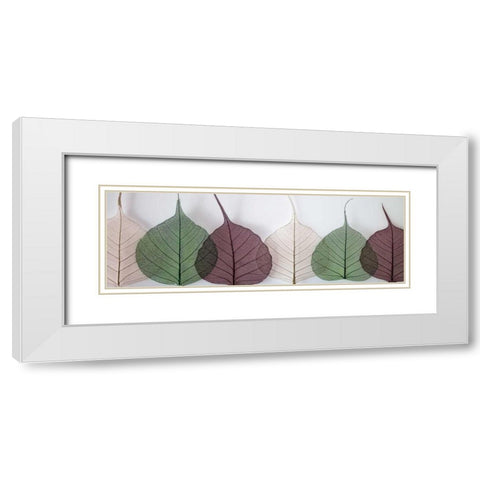 Leafy Address White Modern Wood Framed Art Print with Double Matting by Frank, Assaf