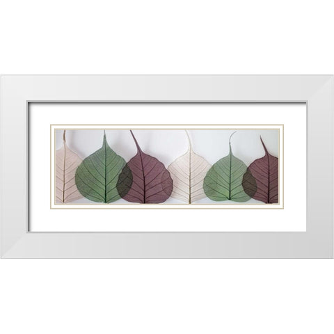 Leafy Address White Modern Wood Framed Art Print with Double Matting by Frank, Assaf