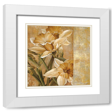 Champagne Daffodils I White Modern Wood Framed Art Print with Double Matting by Thompson, Linda