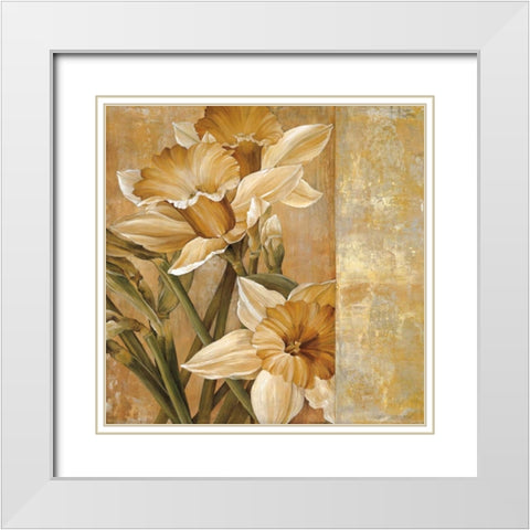 Champagne Daffodils I White Modern Wood Framed Art Print with Double Matting by Thompson, Linda