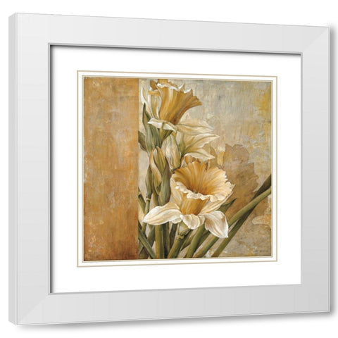 Champagne Daffodils II White Modern Wood Framed Art Print with Double Matting by Thompson, Linda