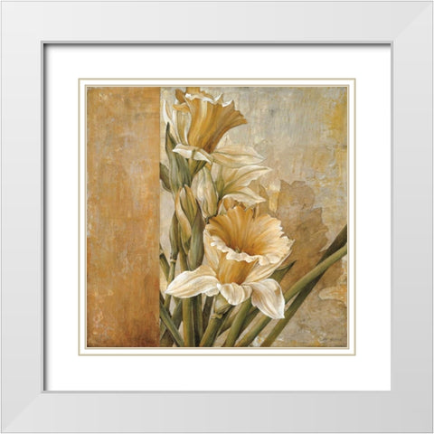 Champagne Daffodils II White Modern Wood Framed Art Print with Double Matting by Thompson, Linda