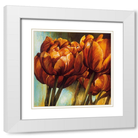 Floral Radiance I White Modern Wood Framed Art Print with Double Matting by Thompson, Linda