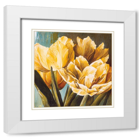 Floral Radiance II White Modern Wood Framed Art Print with Double Matting by Thompson, Linda