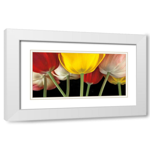 Sunshine Tulips White Modern Wood Framed Art Print with Double Matting by Frank, Assaf