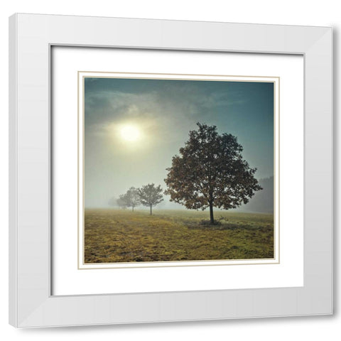 Its a New Day White Modern Wood Framed Art Print with Double Matting by Frank, Assaf