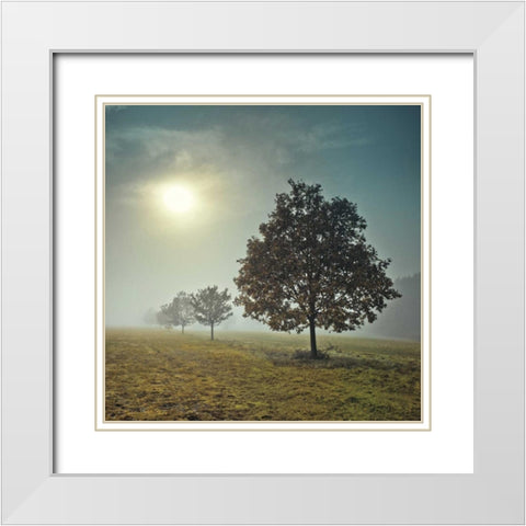 Its a New Day White Modern Wood Framed Art Print with Double Matting by Frank, Assaf