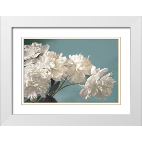 Snow White White Modern Wood Framed Art Print with Double Matting by Frank, Assaf