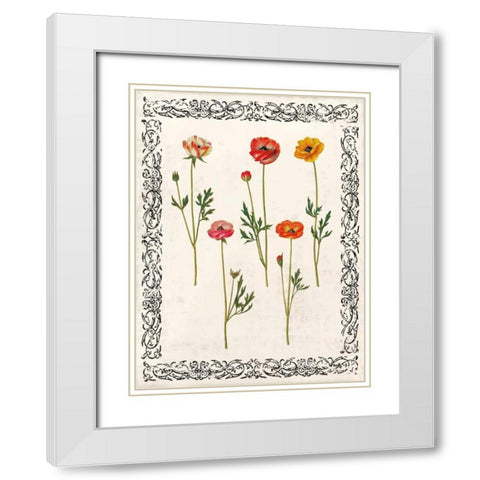 Spring Blooms II White Modern Wood Framed Art Print with Double Matting by Berg, Sabine